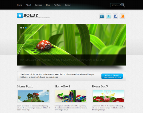 Boldy WordPress theme